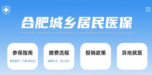 合肥城乡居民医保报销限额 一年最多报多少​